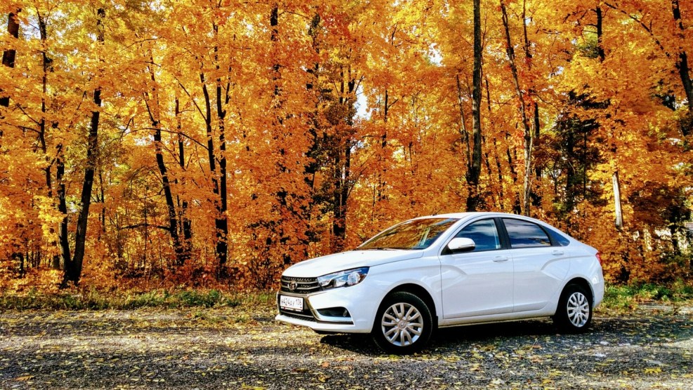 George Tandashvili bas -reliefs