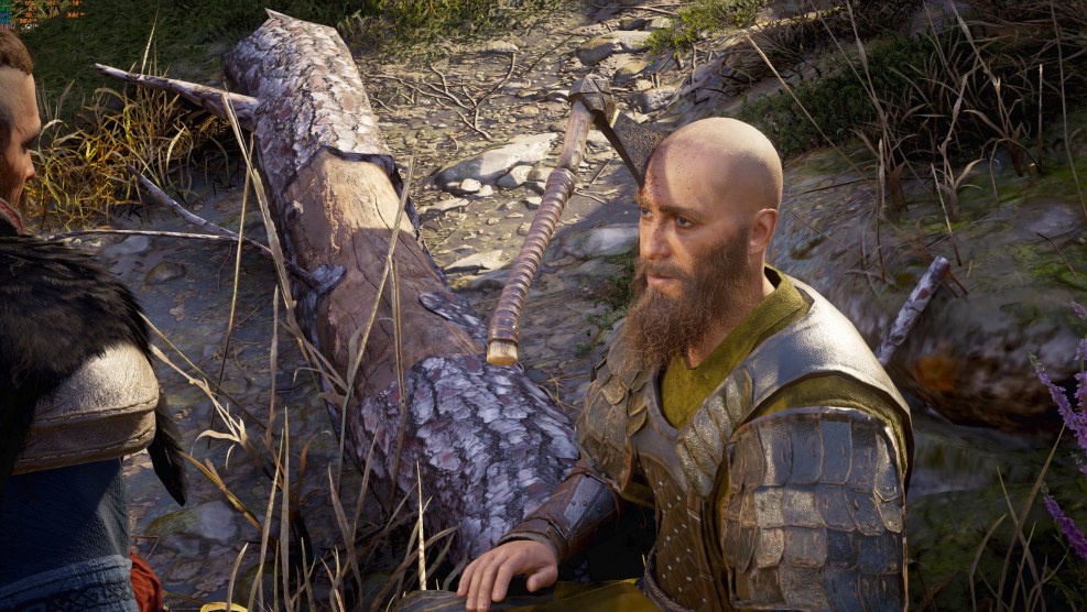 Björn Iron Assassin