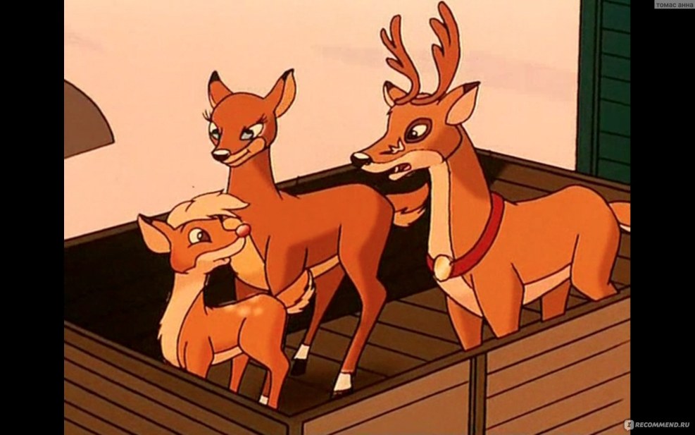 Amphibia General Yunnan Art