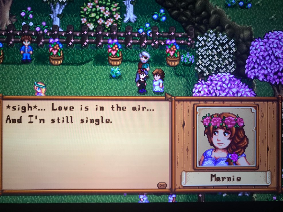 House House Stardew Valley