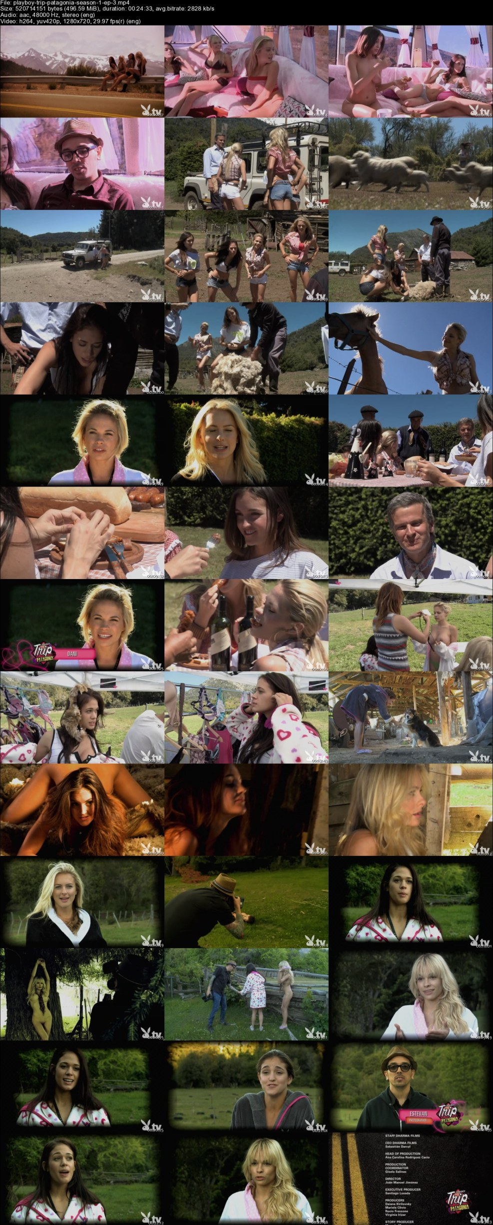 TRIP Patagonium playboy