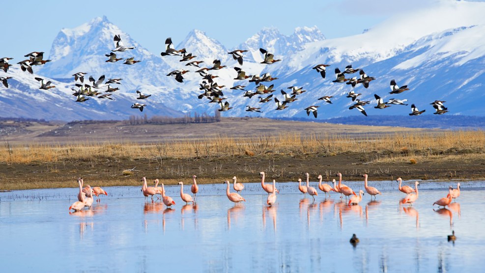 Alina Riskado Ballerina