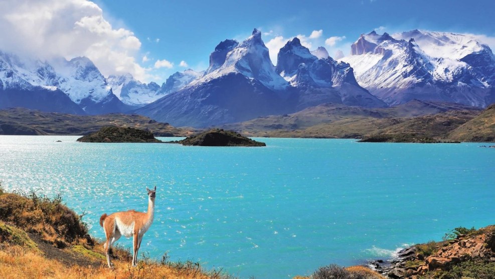 Buy wallpaper to buy