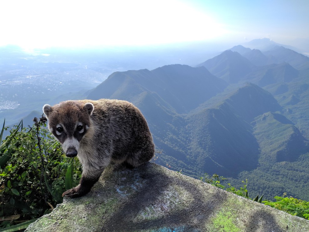 Kryukova Evgenia Actress Playboy