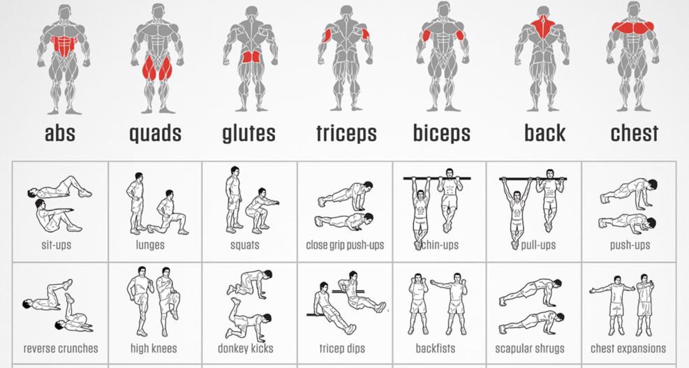 MEC CED 275RS slider