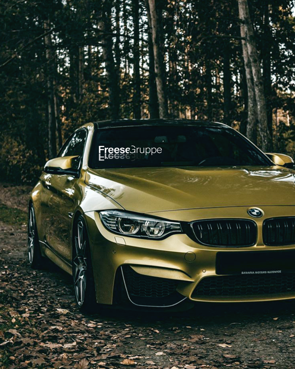 Anna-Michel Assimakopul deputy