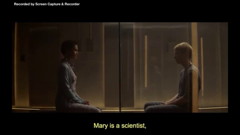 Mortal Kombat Tanya Cosplay