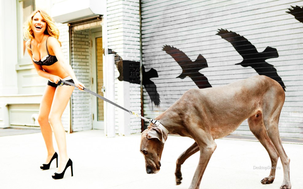 Alicia Vikander stolen