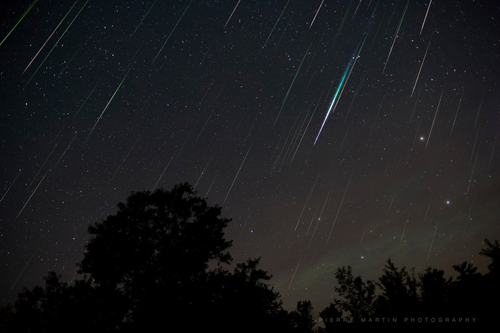 Zero 2 cute in Franks