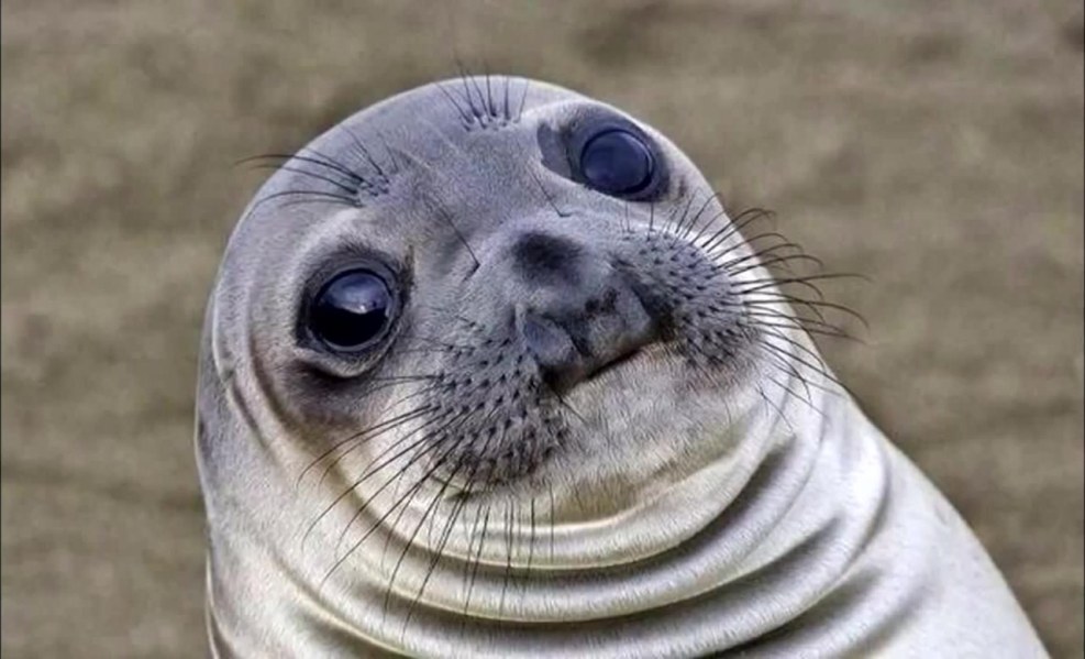 Memes with inscriptions