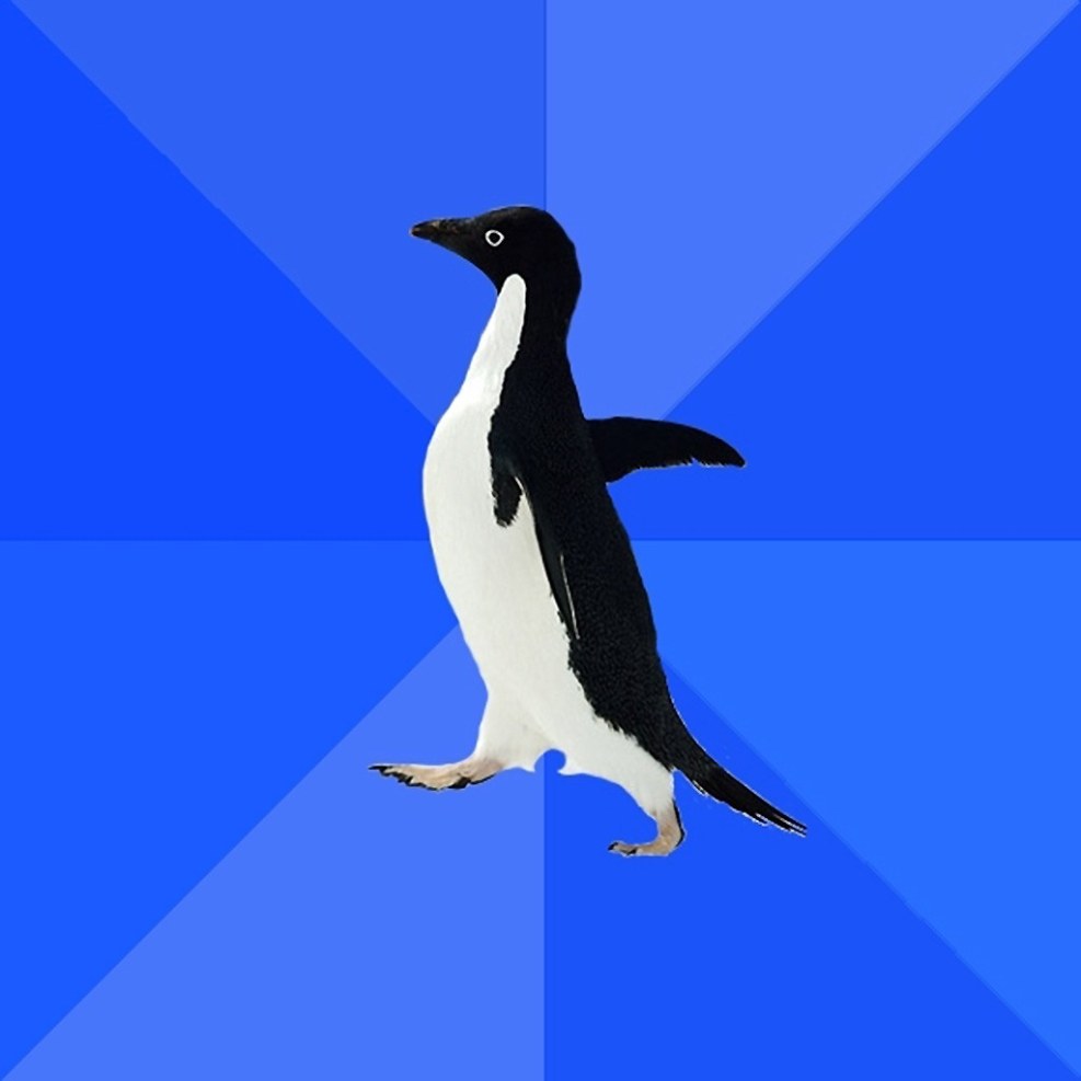 Penguin sociophob meme