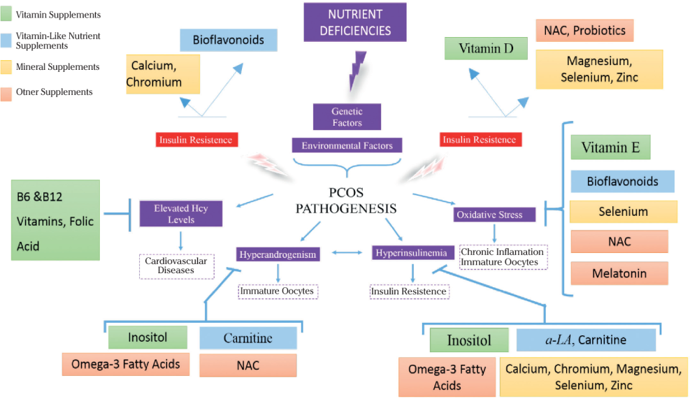 Promo code Vitaminler