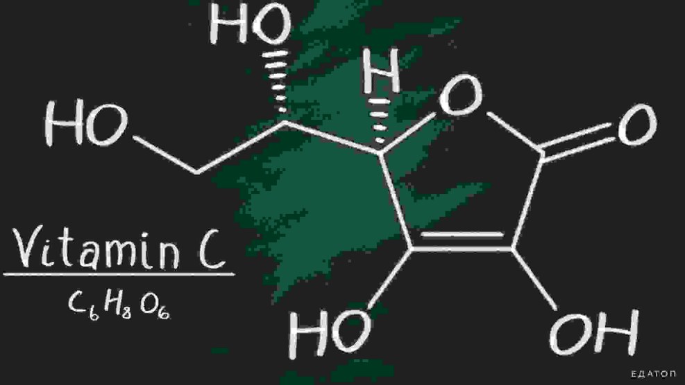 Vitamine textbook kit for FR