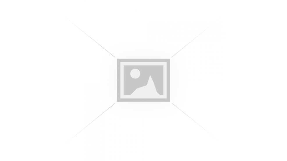 Birds of GIF on a transparent background