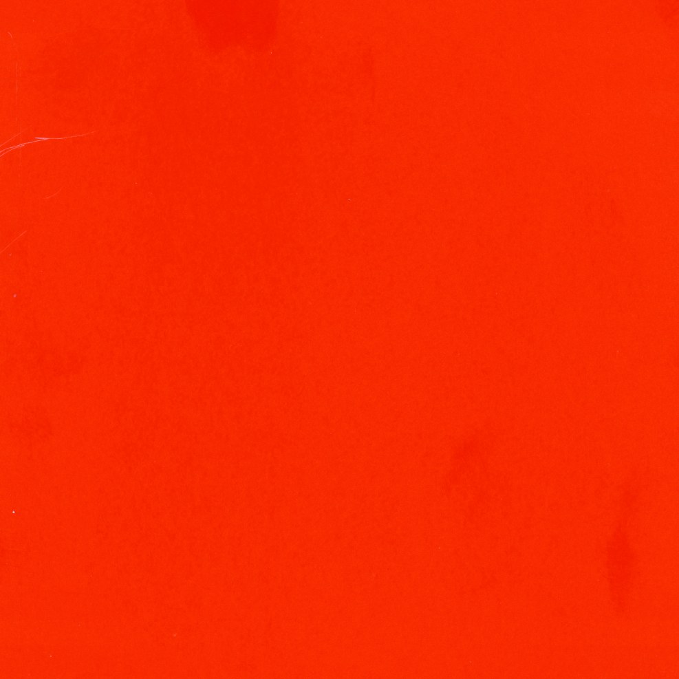 Porn actresses Dani Daniels