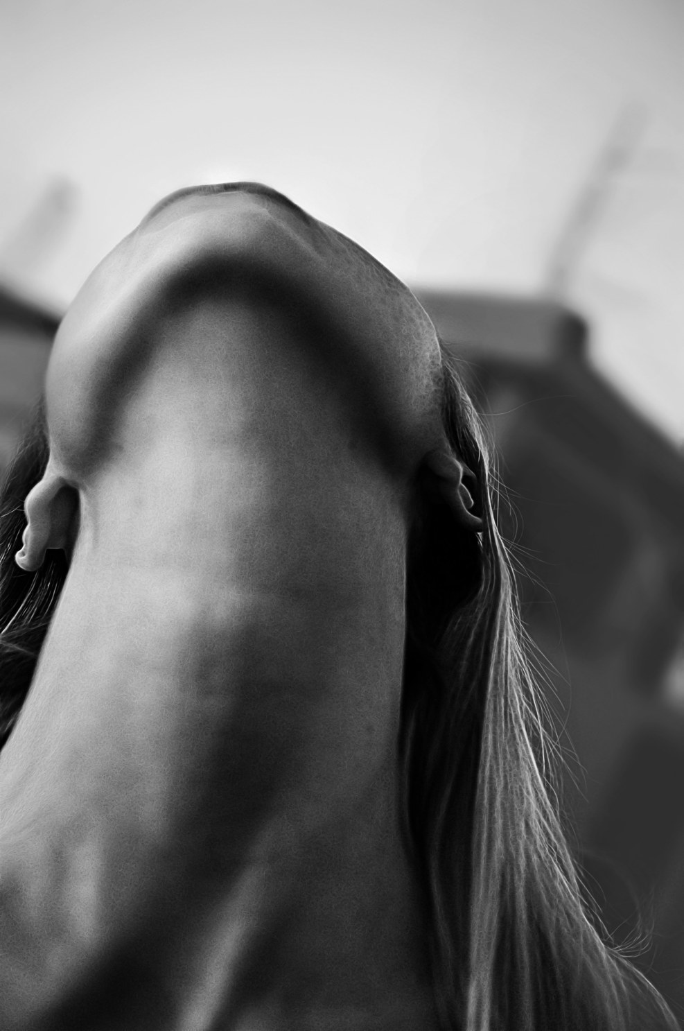 Kat3martynova Ekaterina Martynova drain