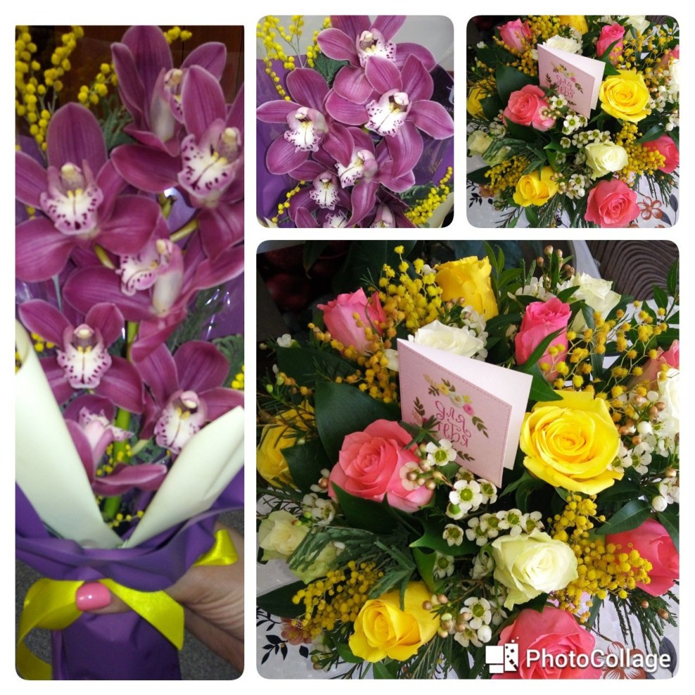 Ekaterina Martynova Samara