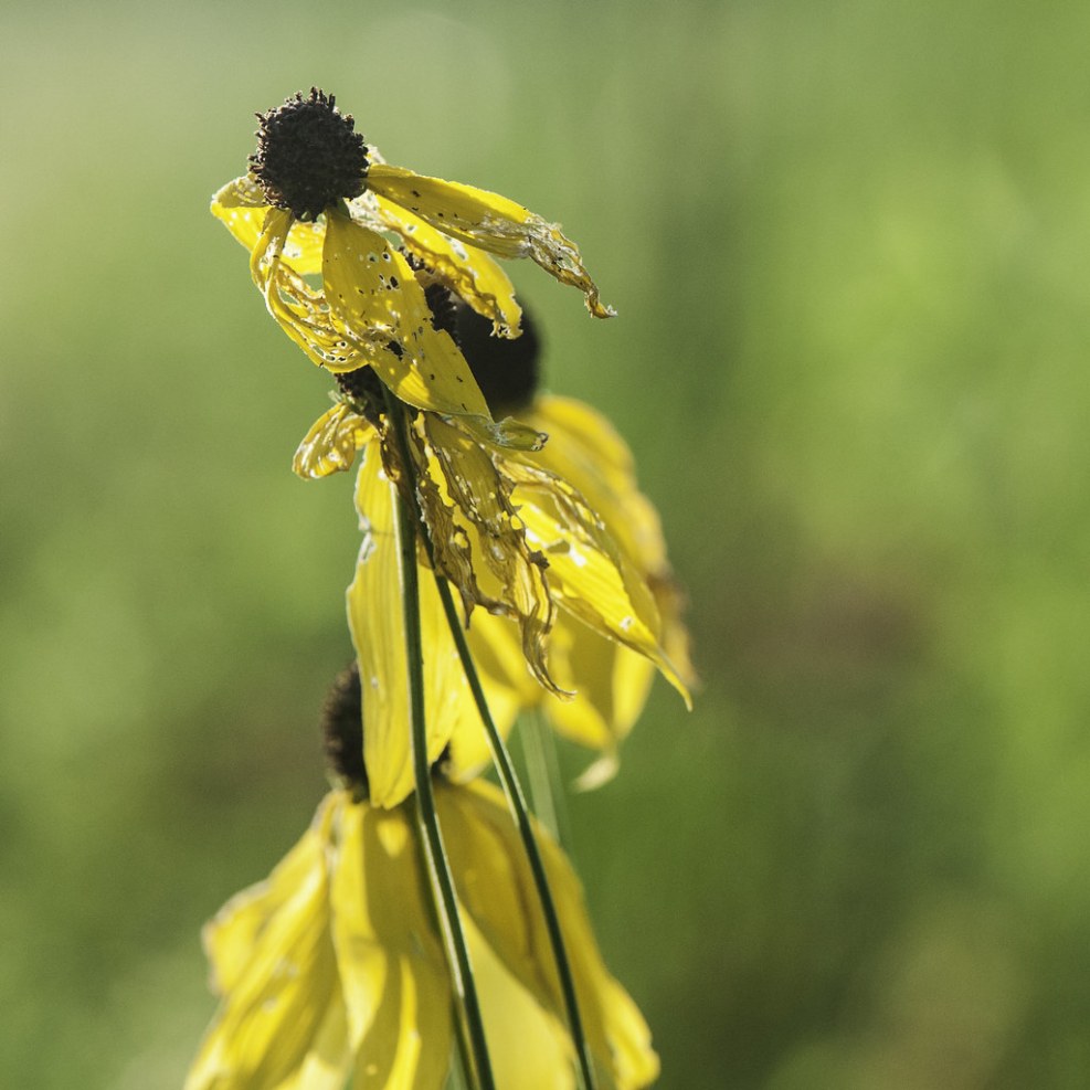 Sobre o Filme UMA Noite Em Bangkok