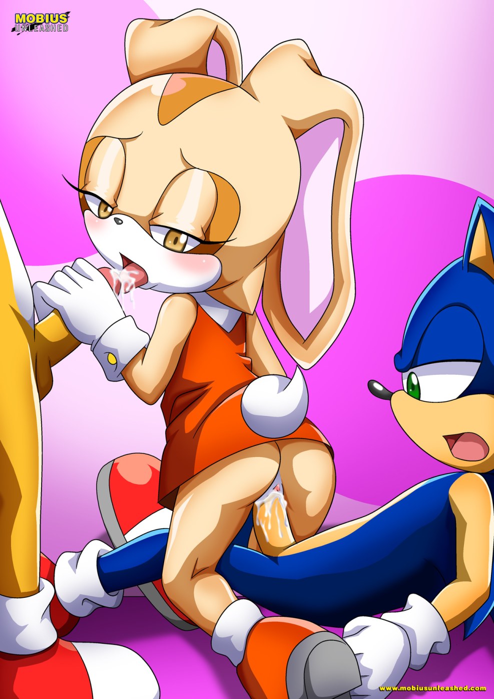 Sonic Chris and Topaz Hentai