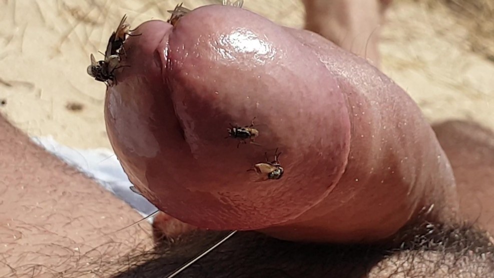 Insects in vagina girls