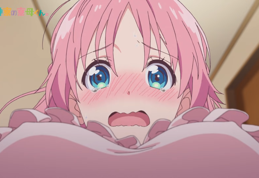 Commandant of the hostel of the goddesses anime