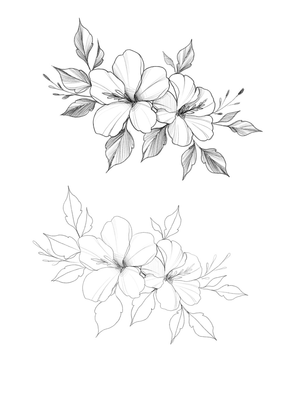 Pencil flowers for sketching