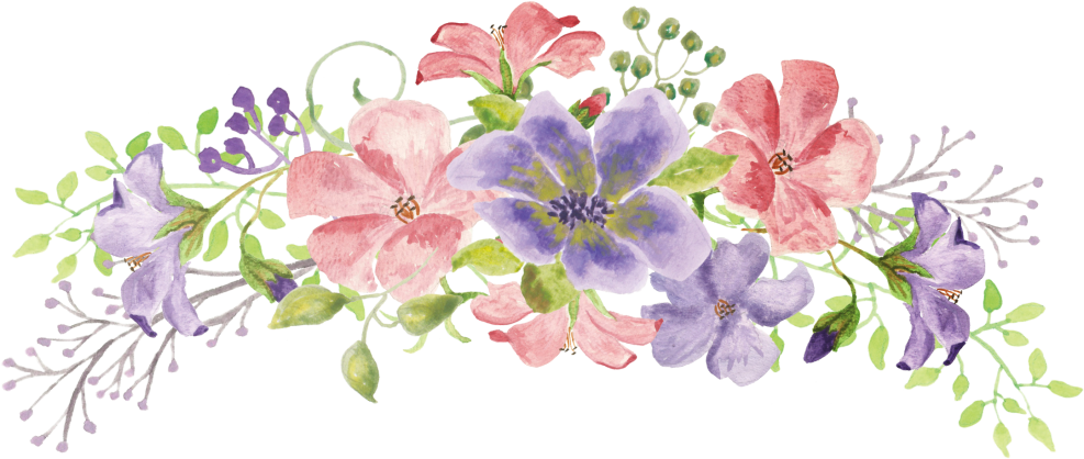 Delicate flowers on a transparent background
