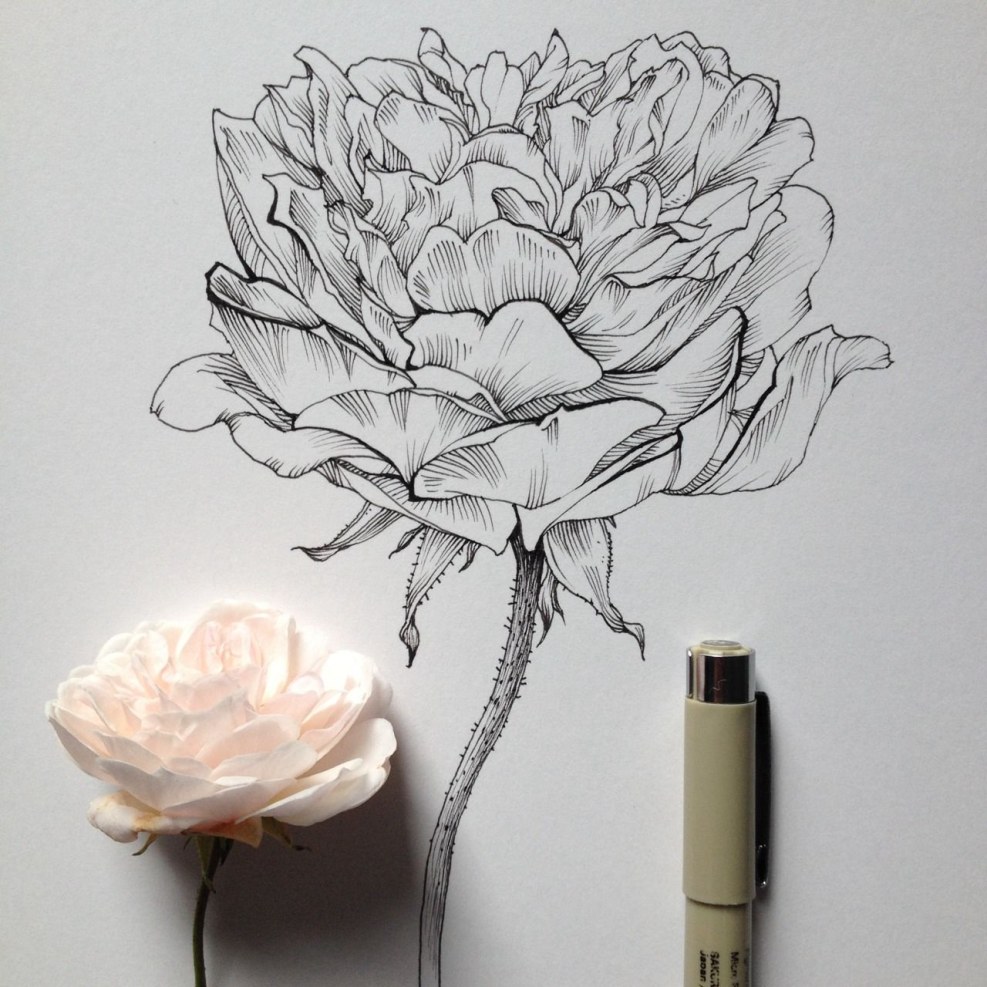 Fleur formalin anime