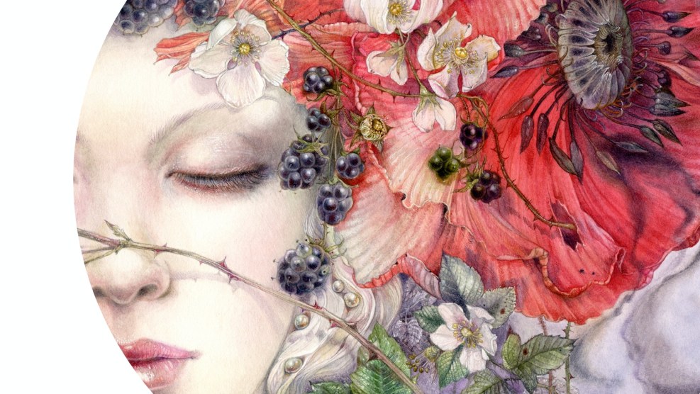 Belvinil Premium 11sb3 rapport