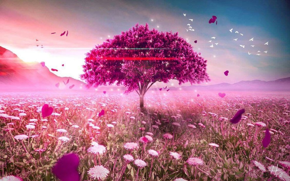 Sketches of color patterns