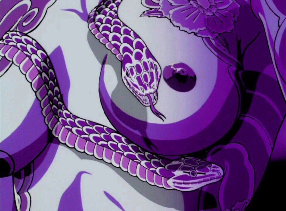 Basilisk Manuscript Ninja Hentai Akyagina