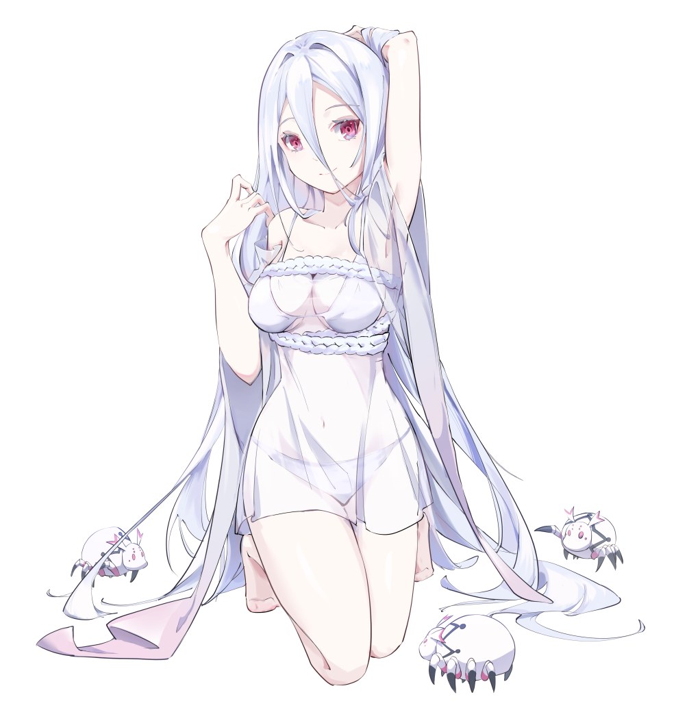 Kumo desu ga nani ka anime