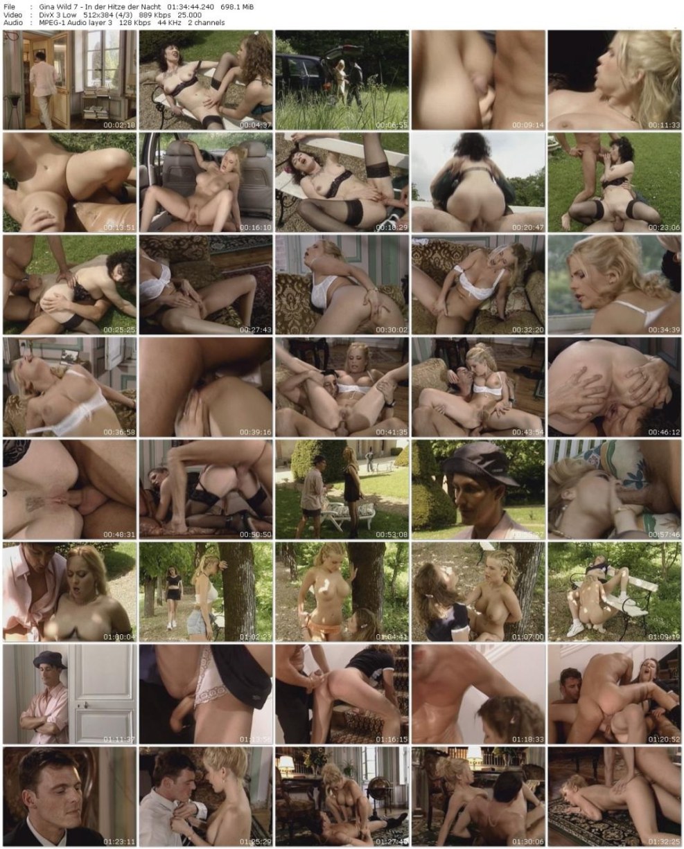 Conny dachs porn movie about business ladies