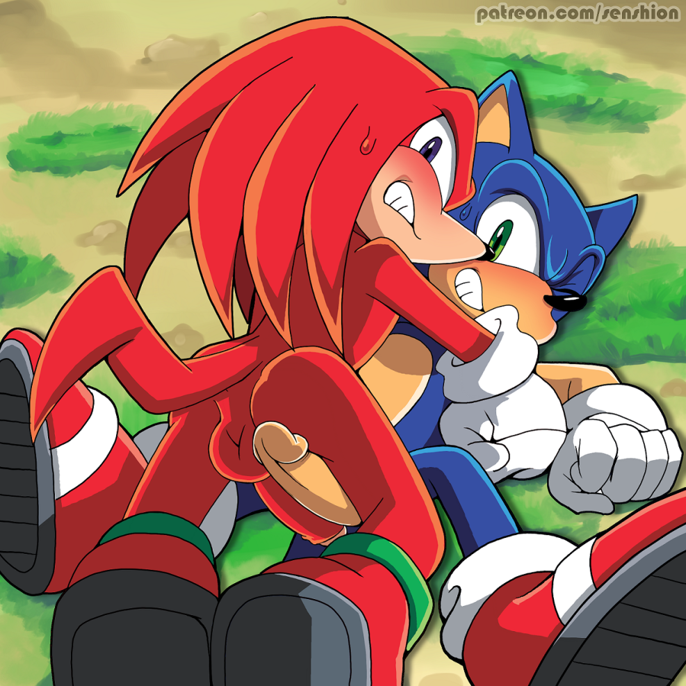 Sonic and Naklz Hentai XXX