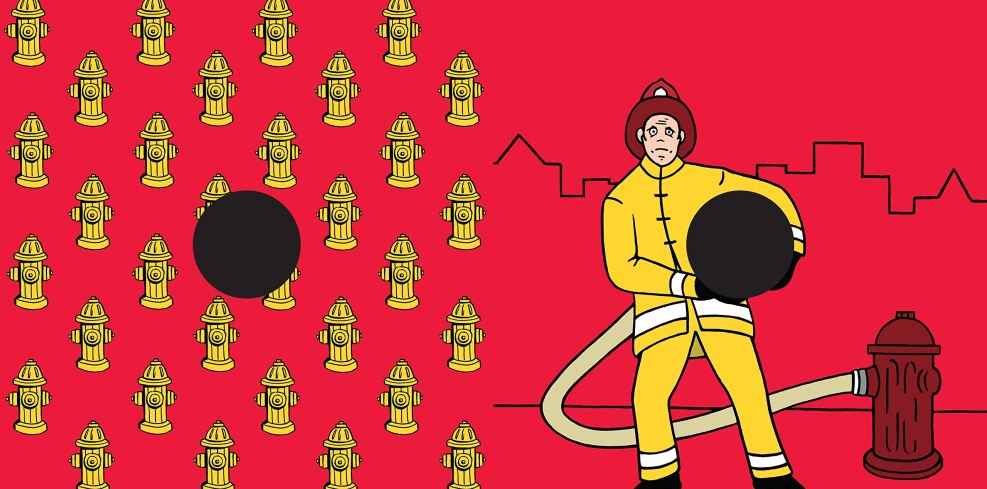 The book Penis Pokey