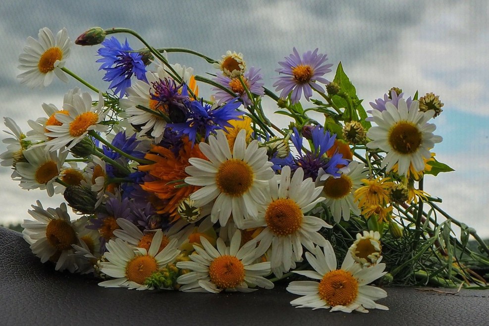 Tatyana Petrova Ryazan