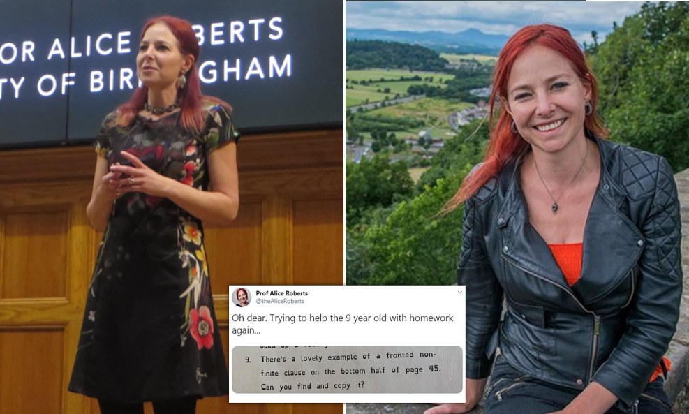 Caticornplay requirement