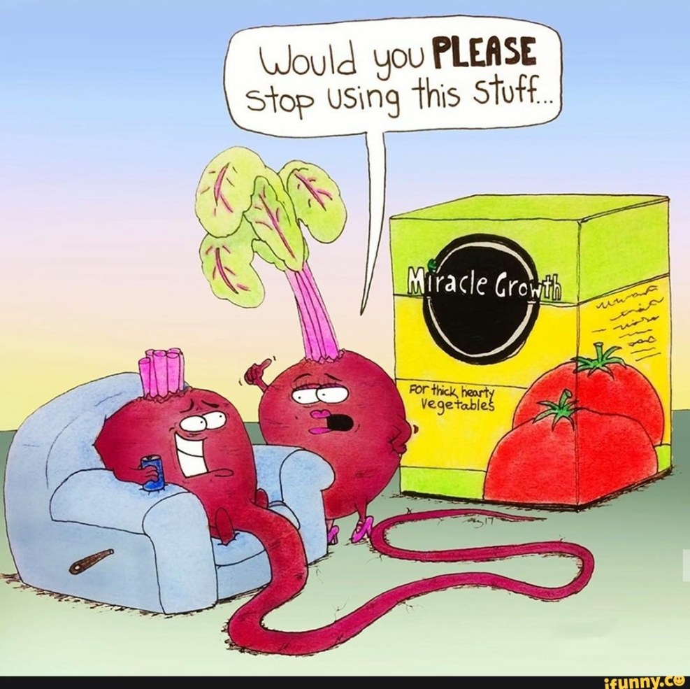 Transformation dinosaur