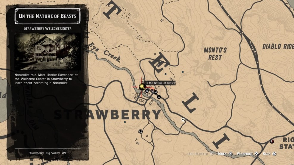 RDR 2 store in Straberry