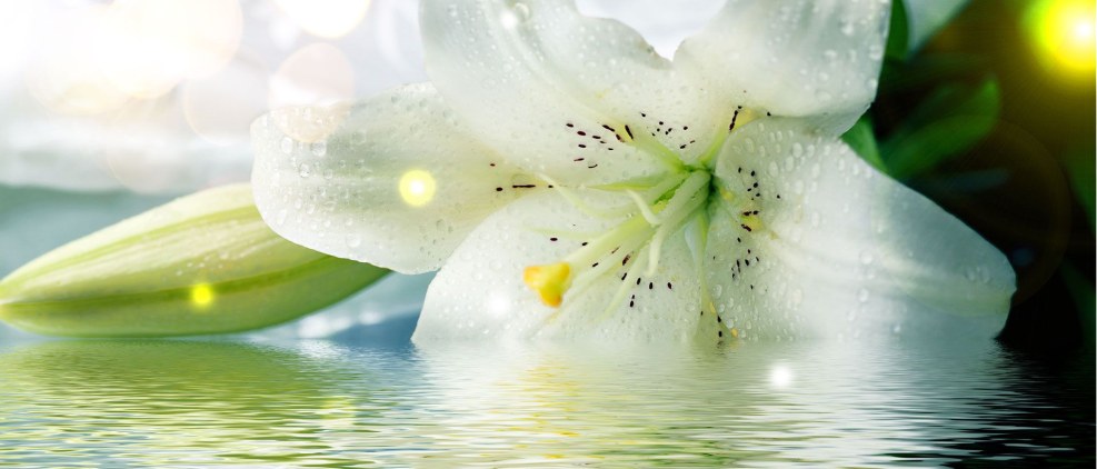 Second Life Girls in Lingerie