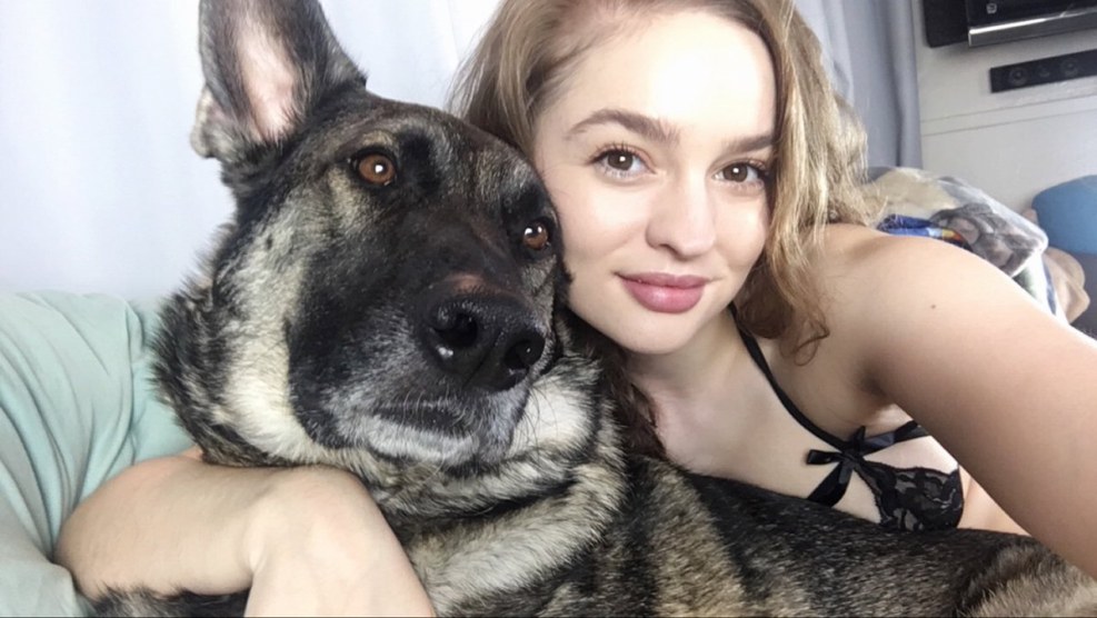 Natalia Raragovskaya Sonya Dog