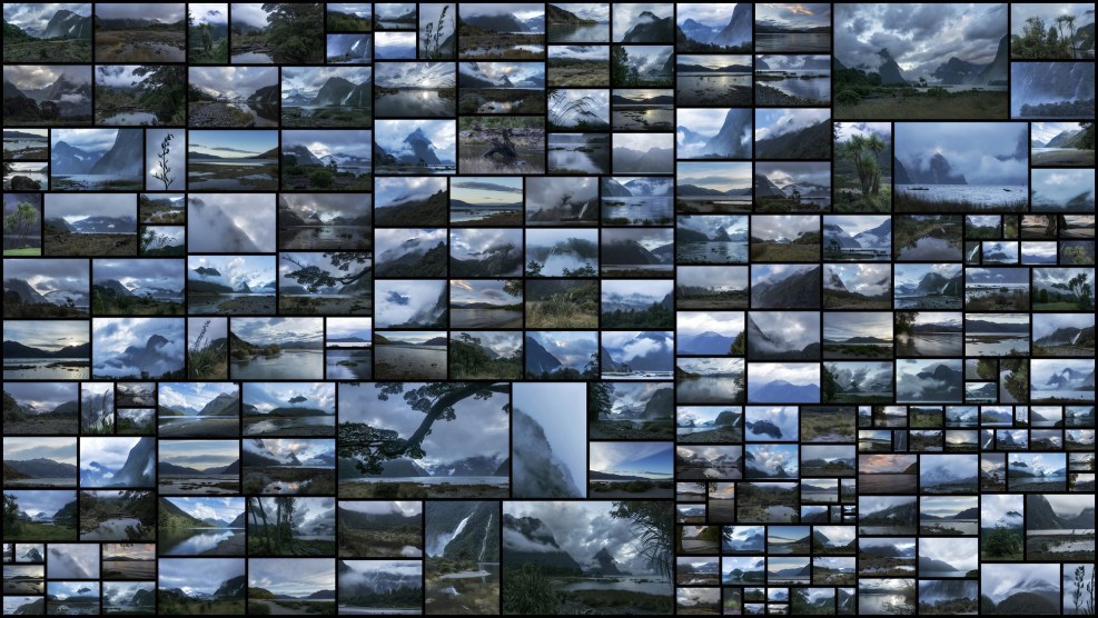 RPGMMO LONG Cat Bugs