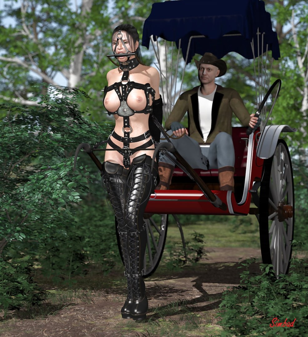 Sexy girls bdsm pony play