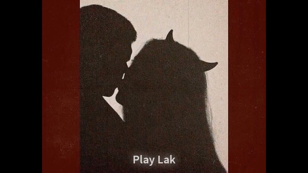 PV charge controller LS1024RP