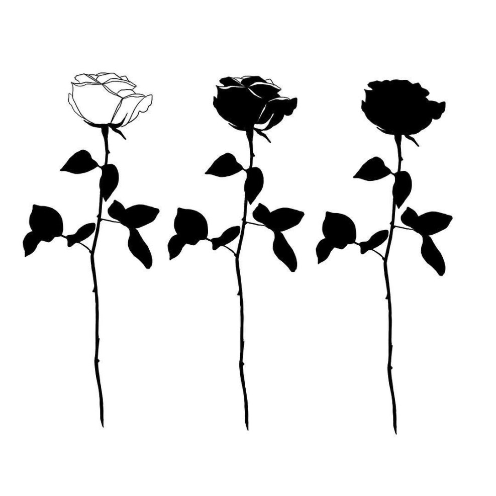 Rosa silhouette