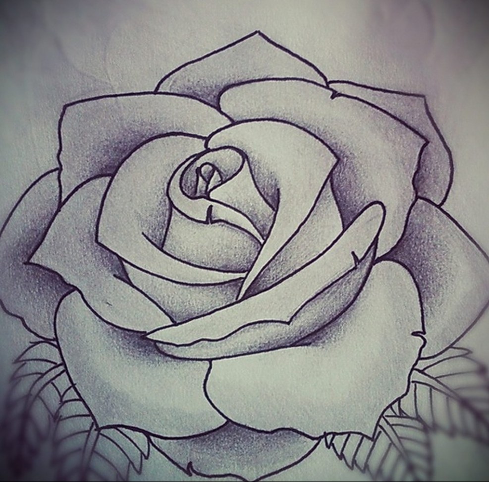 Light pink background plain