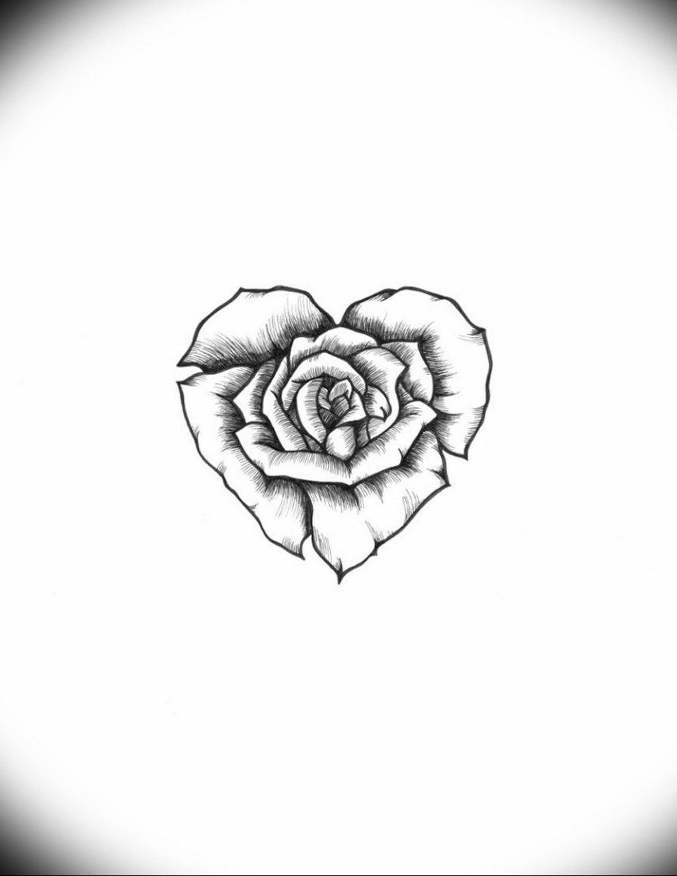 Sketches of rose tattoos