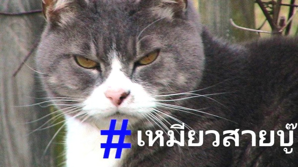 Living pictures of anime