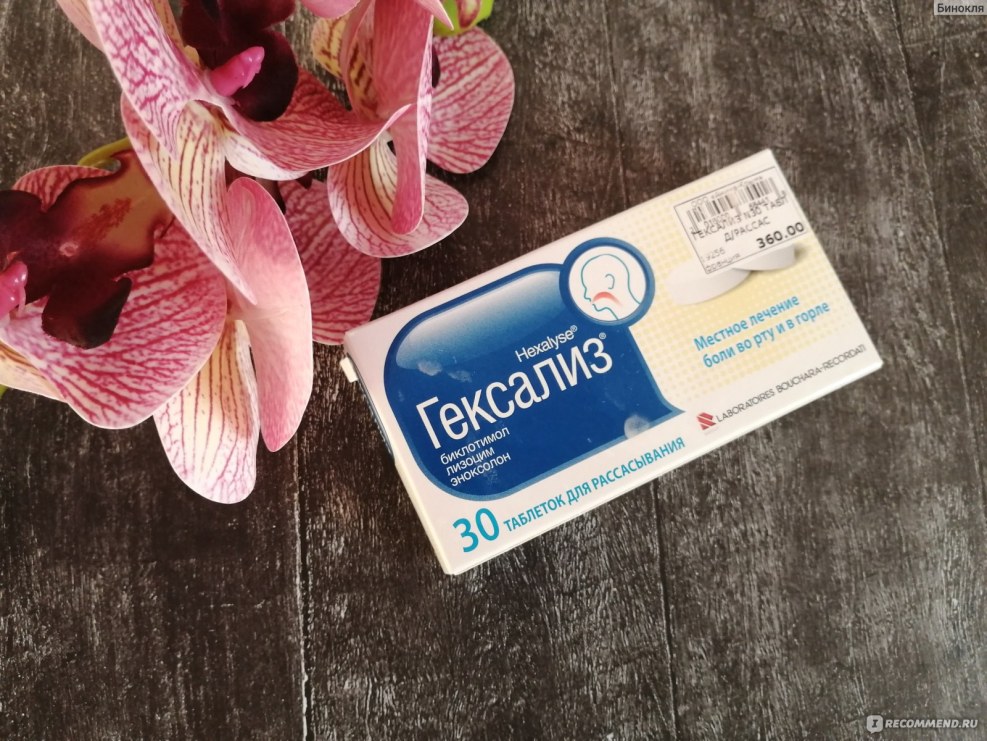 Plum IP cameras 2020