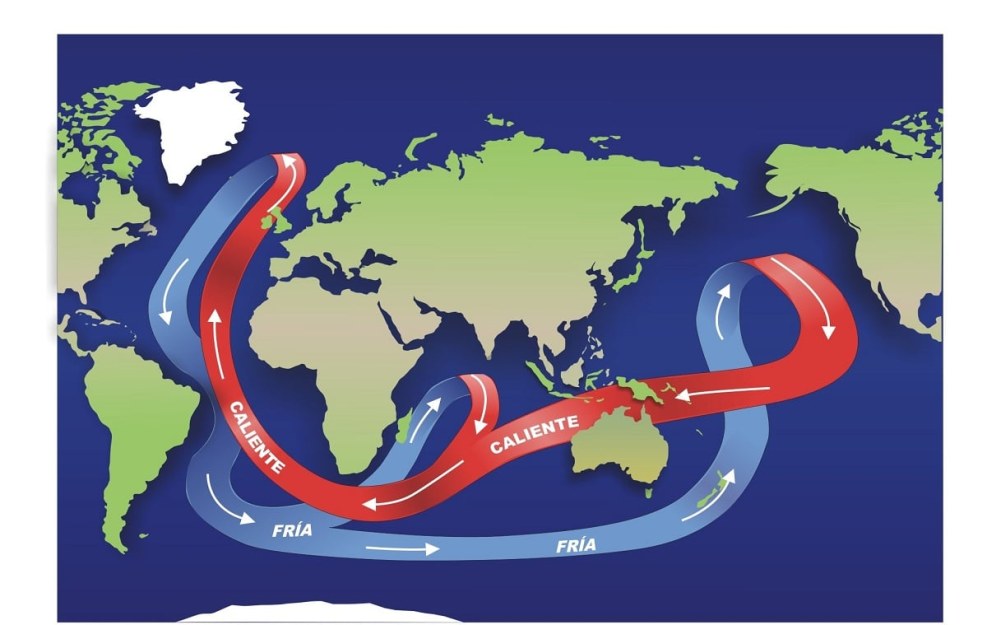 Photo shoot with watermelon girls